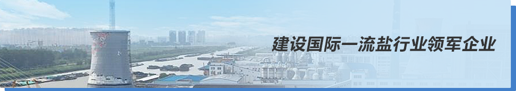 GOPAYǮ���ٷ���վ - ��ȫ��ݵ�����Ǯ�����ƶ�֧��ƽ̨